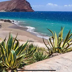 https://sol-mar-el-medano-tenerife.in-canary-islands.com